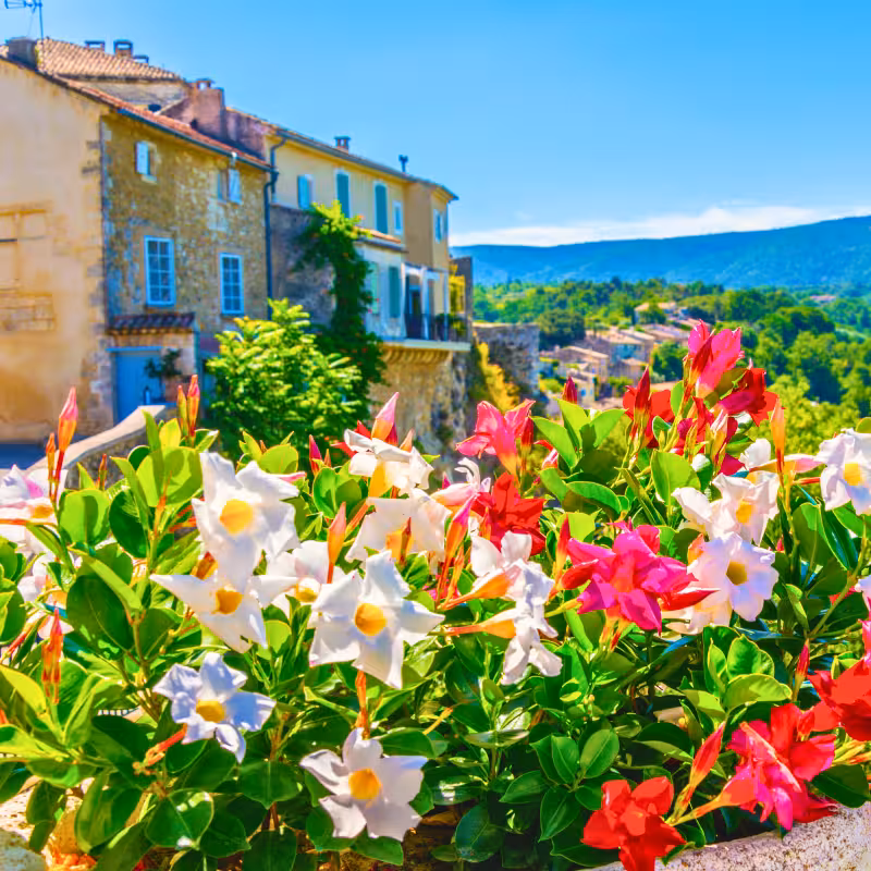 Ménerbes beau village du Luberon 