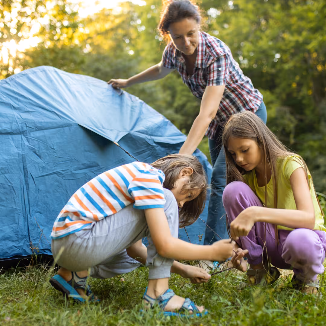 Votre arrivée aux Chênes Blancs