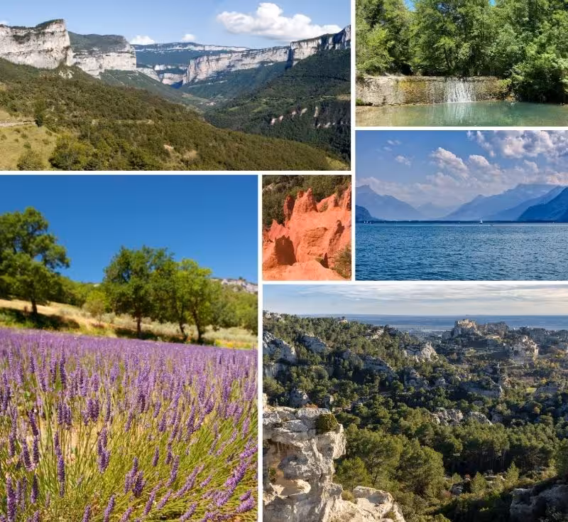 Pausado : un groupe familial aux valeurs fortes